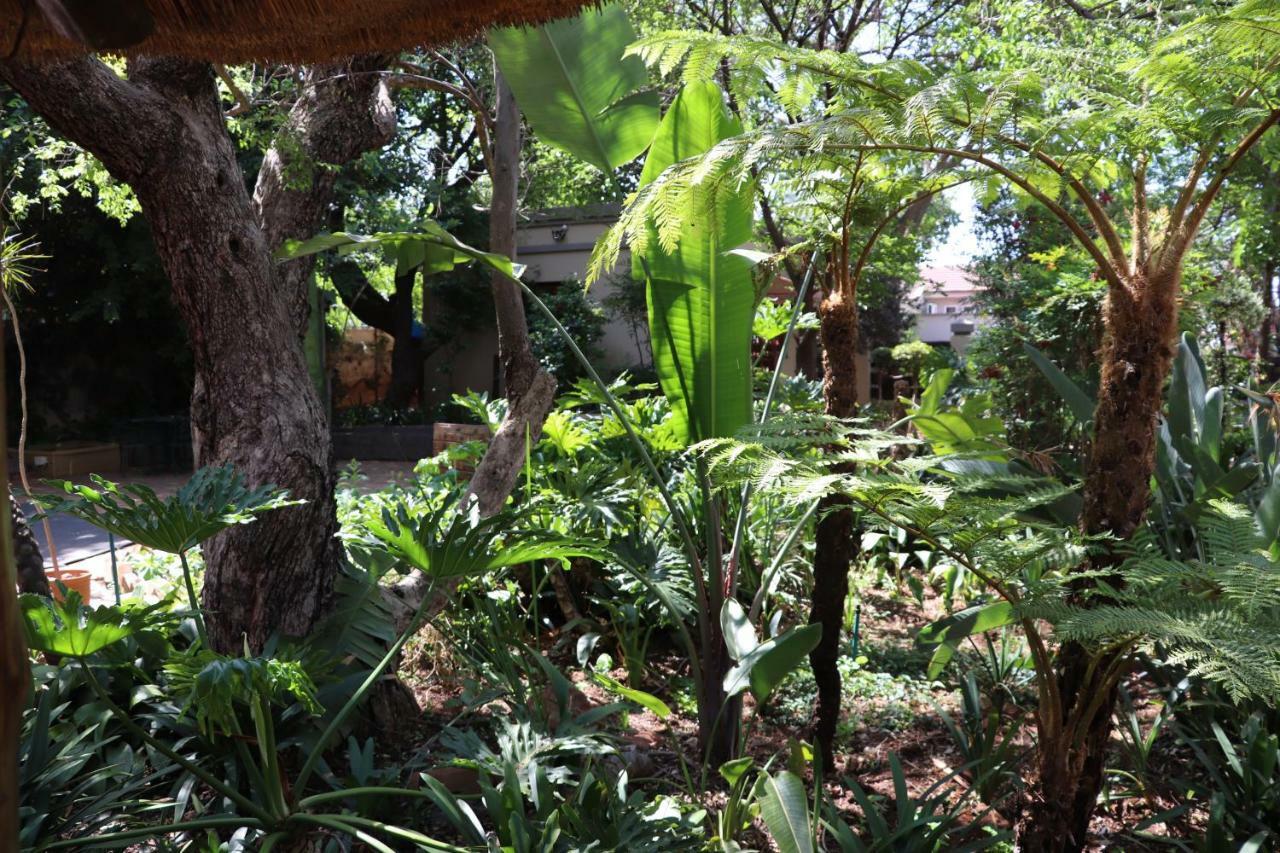 Greenwoods Self-Catering بريتوريا المظهر الخارجي الصورة